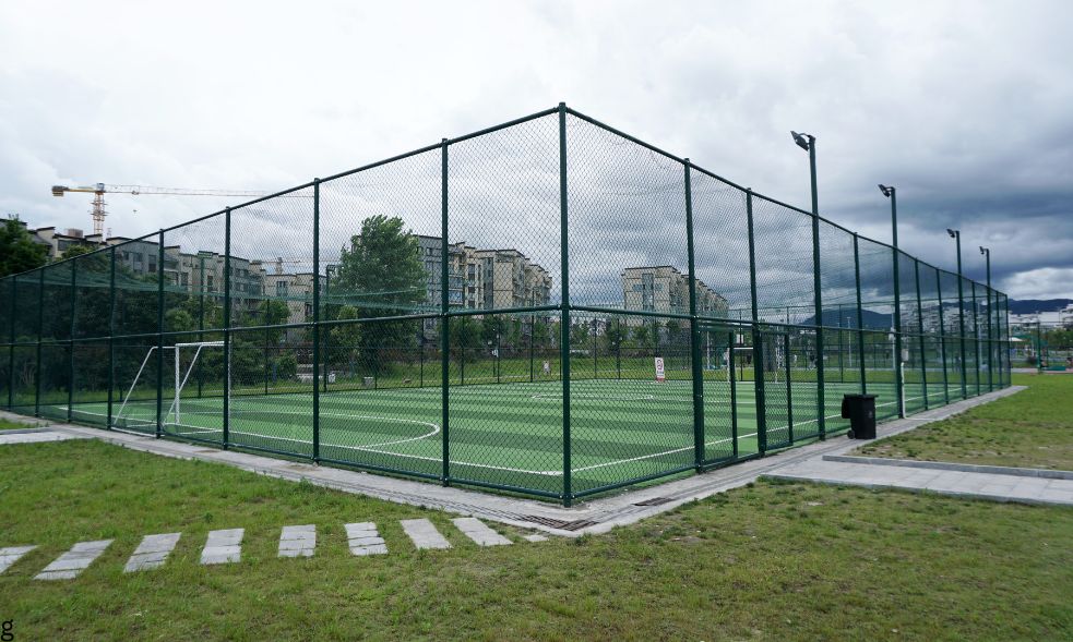 all sports net 2