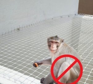 Monkey Safety Nets