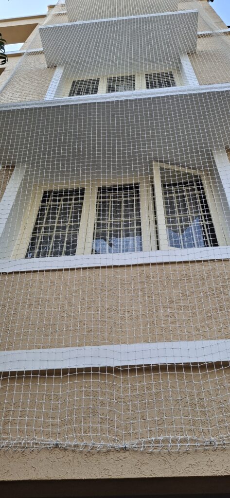 Pigeon Nets Installation