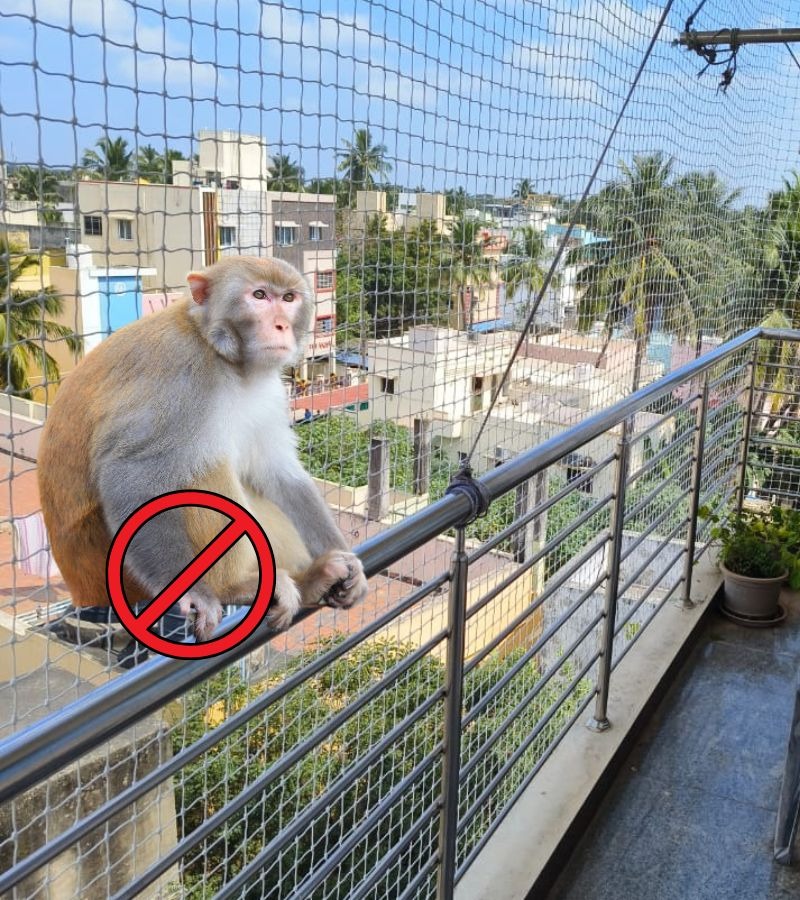 Best Balcony Safety Nets Installation for Monkeys in Coimbatore by GSA Enterprises