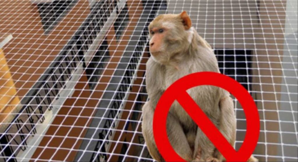 Monkey safety nets in Chennai by GSA Enterprises in Chennai