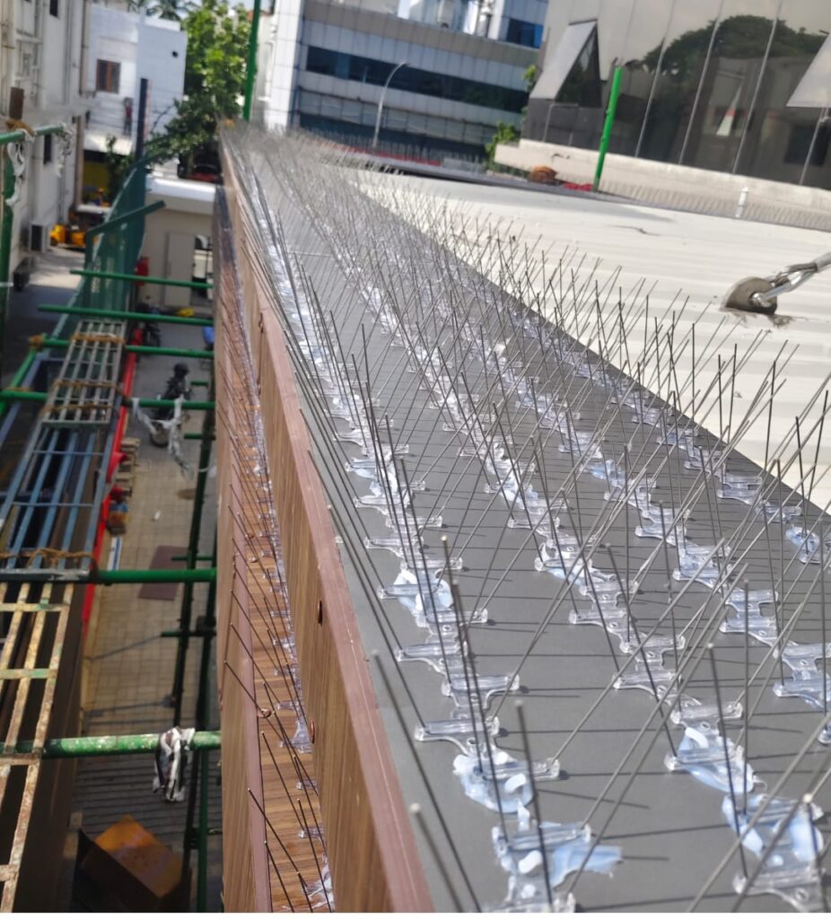 Bird Spikes Installation in Velachery by GSA Enterprises, Chennai