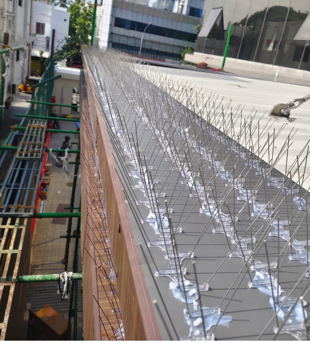Bird Spikes Installation in Madurai by GSA Enterprises, Chennai