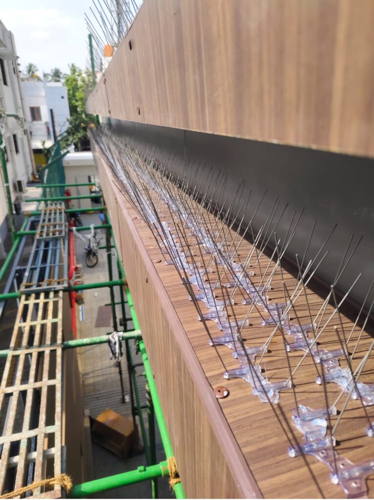 Bird Spikes Installation