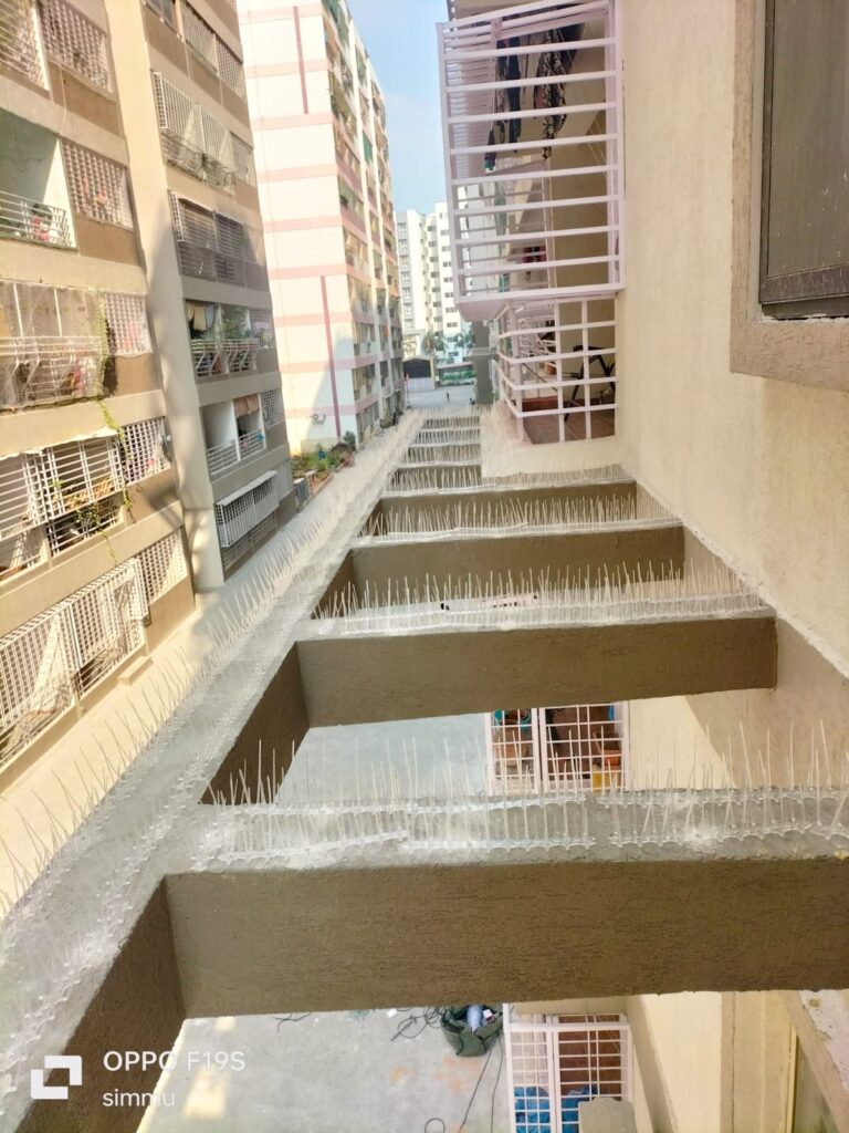 Bird spikes installation in Chennai and are done by GSA Enterprises