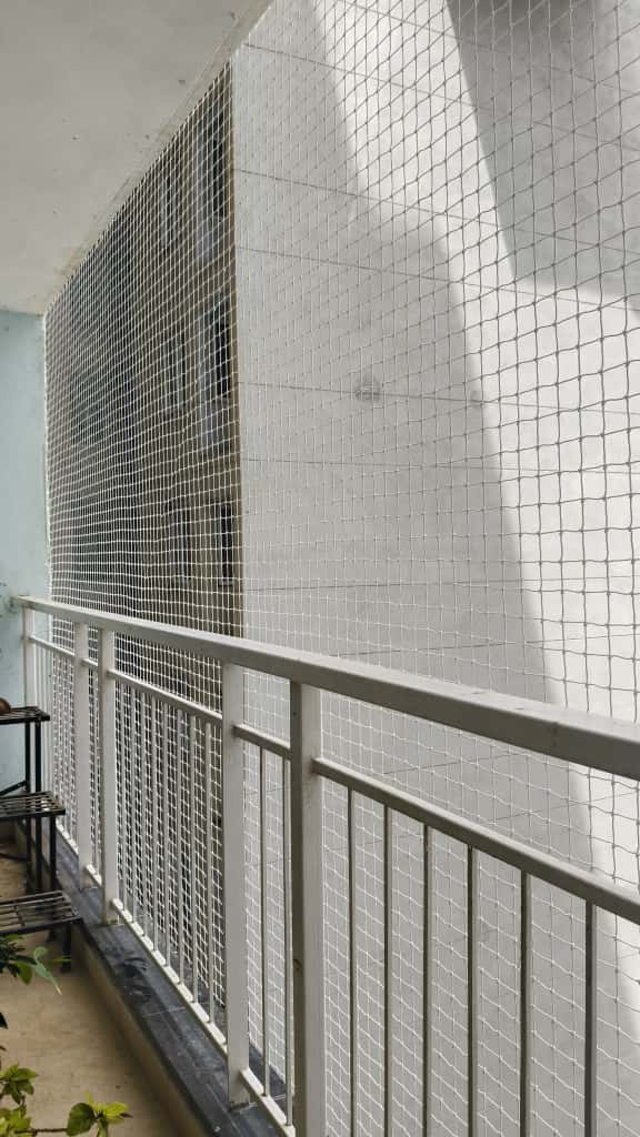 Anti-Seagull Nets in Chennai installation done by GSA Enterprises