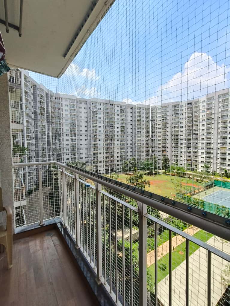 Professional monkey safety nets installation in Coimbatore homes
