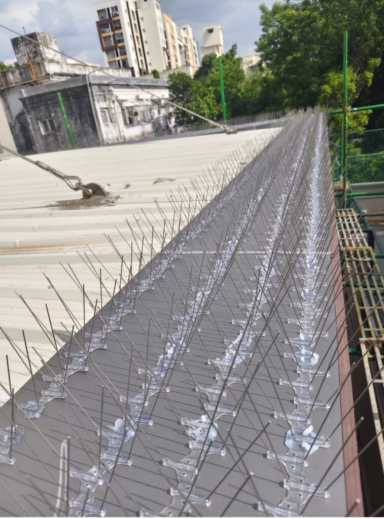 Bird spike installation in Madurai done by GSA Enterprises near me